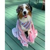 Oversized 37" x 71" Preppy Turkish Beach Towel by Ramus & Co - 2 of 4