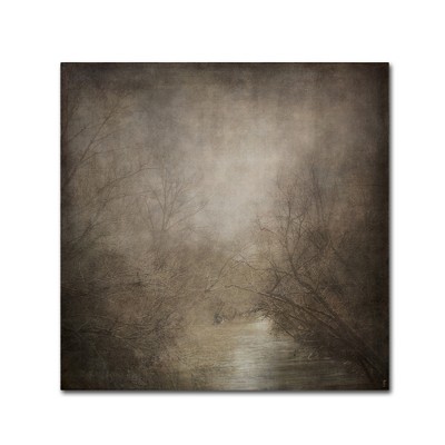 Jai Johnson 'Hidden Waters' Canvas Art