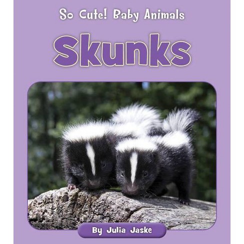 Skunks - (so Cute! Baby Animals) By Julia Jaske (paperback) : Target