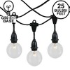 Novelty Lights Globe Outdoor String Lights with 25 suspended Sockets Suspended Black Wire 25 Feet - 2 of 4
