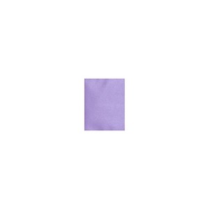 LUX 105 lb. Cardstock Paper 11" x 17" Amethyst Metallic 50 Sheets/Pack (1117-C-M04-50) - 1 of 1