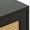 Modern TV Stand with Rattan Door Metal Handles Support Legs - 4 of 4