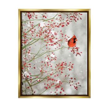 Stupell Industries Cardinal Seasonal Holly Berries Framed Floater Canvas Wall Art