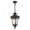 Livex Lighting Oxford 1 - Light Pendant in  Bronze - 4 of 4