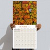 TF Publishing 13.5"x14.5" 2026 Trees Wall Calendar - 4 of 4