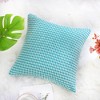 PiccoCasa Home Bedroom Comfortable Soft Velvet Throw Pillow Cover - 3 of 4