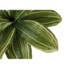 Monarch Specialties Artificial Plant 17 inch Tall Dracaena Indoor Faux Fake Table Greenery Potted Real Touch Decorative Green Leaves Black Pot - 4 of 4