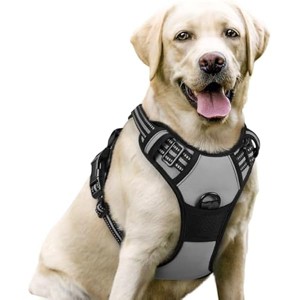 rabbitgoo Dog Harness No Pull with 2 Leash Clips, Oxford No Choke Pet Vest with Easy Control Handle for Large Dogs, Grey, L - 1 of 1