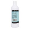 Plantlife Fresh Mint Foam Soap Refill – Plant-Based for All Skin Types – Hand & Body Wash, Shaving, Kids’ Foaming Fun – Made in California, 16oz - 2 of 3