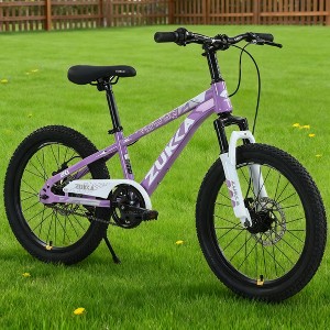 KWPZQEB 20 Inch Mountain Bike with Steel Frame, Outdoor Cycling Bike with Dual Disc Brake System & Adjustable Saddle, Kids Bicycles for Boys & Girls - 1 of 4