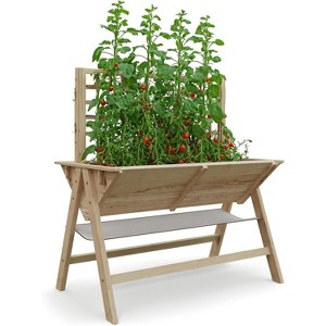 Raised Garden Bed with Legs, 52"x30"x54" Elevated Wooden Planter Box with Trellis for Climbing Vines, Outdoor Standing Growing Bed - 1 of 4