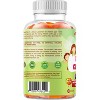 Kids Fiber Gummies - 60 Gummies - 4 of 4