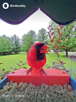 Guest review image 5 of 6, zoom in