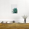 iCanvas Agave Cactus by Orara Studio Canvas Print Wall Art - 3 of 3