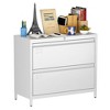 SUXXAN 2 Drawer Metal File Cabinet, with Standing Feet and Card Slot, 29.53" H X 34.5" L X 15.75" W, Assembly Required - 2 of 4