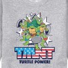 Men's - Teenage Mutant Ninja Turtles - Turtle Power Americana Graphic Fleece Sweatshirt - 2 of 4