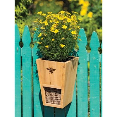 Mason Bee House and Planter Combo - PANACEA PRODUCTS