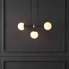 Collier 3 Light 28" Height Adjustable Pendant - PND4167 - Black/Nickel - Safavieh - 3 of 4