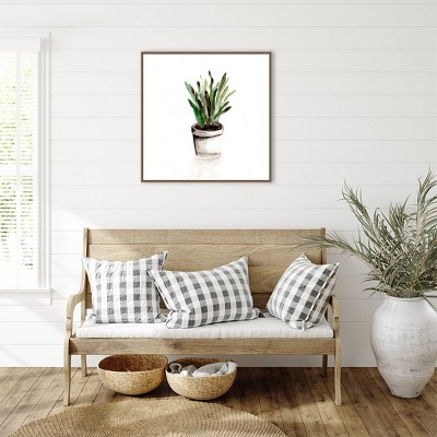 Amanti Art 30"x30" Potted Botanicals III by Marcy Chapman Framed Canvas Wall Art Print