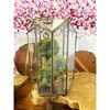 Essential Decor & Beyond Antique Brass 14" Glass and Metal Lantern Decorative Accent - 4 of 4