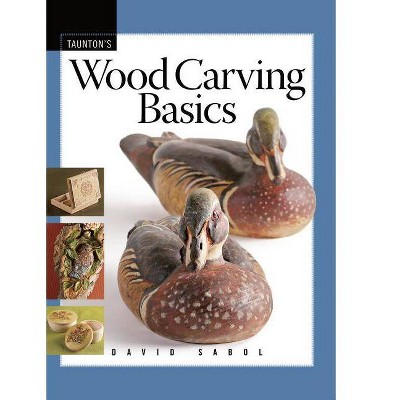 Wood Carving Basics - (Fine Woodworking DVD Workshop) by  David Sabol (Paperback)