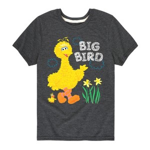 Boys' - Sesame Street - Big Bird Daffodils Short Sleeve Graphic T-Shirt - 1 of 4