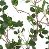 Milan Leaf Tree Artificial Tree, Fake Milan Leaf Tree for Home Office Living Room Floor Decor, Indoor Outdoor Decoration, Housewarming Gift - 3 of 4