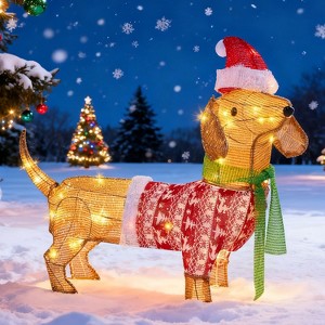 Joyfy 30'' Wiener Dog Christmas Outdoor Decorations, Wiener Dog Yard Light Decoration with 40 Warm White LED for Christmas Yard Porch Garde Decoration - 1 of 4
