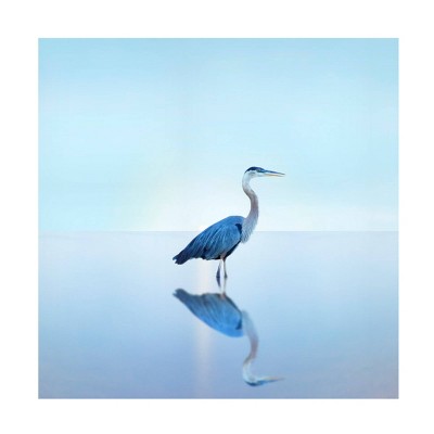 35" x 35" James McLoughlin 'Beachscape Heron II' Unframed Wall Canvas - Trademark Fine Art