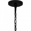 Quoizel Lighting Satterfield 1 - Light Pendant in  Matte Black - 2 of 4