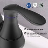 MAYEERTY Bathroom Faucet Matte Black with Pop Up Drain Supply Hoses 2 Handle 360 Degree High Arc Swival Spout Centrset 6 inch Vanity Sink Faucet - 2 of 4