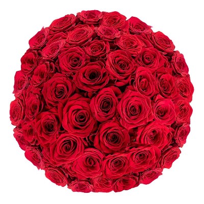 Fresh Cut 50-stem Red Roses : Target