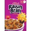 Kellogg's Raisin Bran Breakfast Cereal - image 4 of 4