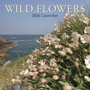 2026 Square Wall Calendar, Wild Flowers, 16-Month Floral Theme with 180 Reminder Stickers (12x12 In) - 1 of 4
