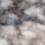 light gray, cream, blue, dark brown, ice blue