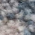 light gray, cream, blue, dark brown, ice blue