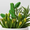 Artificial Succulent Wood Planter - Threshold™: Faux Greenery, Indoor Stoneware Pot Decor - image 3 of 4