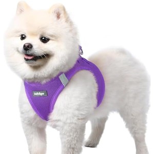 rabbitgoo Small Dog Harness, Step-in Soft Mesh Reflective Pet Harness for Small Sized Dogs, Purple S - 1 of 1