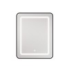 Lighted Medicine Cabinet with Mirror Wall Mounted Bathroom Mirror with Storage - 2 of 4