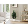 Gulches 31in Artificial Garcinia Tree in White Cement Pot Green 120 Real Touch Leaves Indoor Faux Floor Plant No Maintenance Decorative Greenery - 2 of 4
