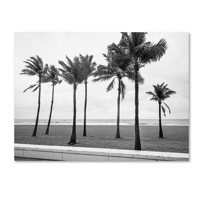 Trademark Fine Art -Preston 'Florida BW Beach Palms' Canvas Art, 2 of 4