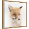 Amanti Art Satisfied Fox by Doris Reindl Canvas Wall Art Print Framed 16-in. x 16-in. - 3 of 4