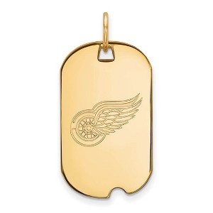 Black Bow Jewelry 14k Yellow Gold Detroit Red Wings NHL Pendant - 1 of 3