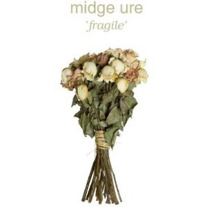 Midge Ure - Fragile (180 Gram Vinyl) - 1 of 1