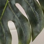 cream/terra