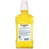 Lucky Super Soft Original Mouthwash 16.9 Oz, CASE OF 12 - 2 of 3