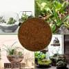 Soil Sunrise Terrarium Potting Soil Mix, w/ Blended Filtering Charcoal for Terrariums - 3 of 4