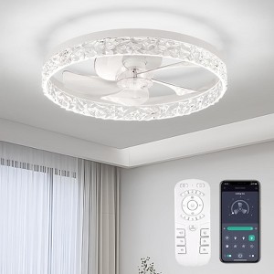 Aoibox Flush Mount Ceiling Fan with Lights and Remote, 6 Wind Speeds, Low Profile Smart Fan for Bedroom, Kitchen, Small Room, 20 Inch - 1 of 4