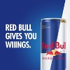 Red Bull Energy Drink - 4pk/8.4 fl oz Cans - image 4 of 4