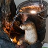 NAYSAYE Fountain Decorative Brown Otter Design Water Feature for Garden Patio Indoor Outdoor, Brown, 15"*31.3"*26.4" - 4 of 4